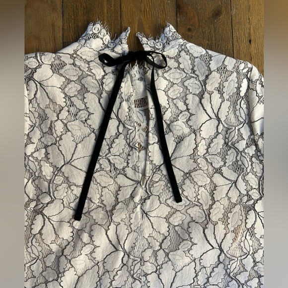 H&M Sheer Sheath Lace Dresses Cream with black detailing back ribbon tie Lined - Picture 5 of 17